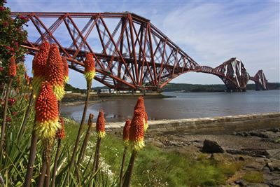 Forth Road Bridge